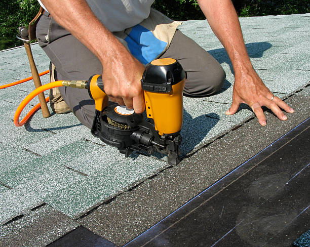 Best Roof Gutter Cleaning  in The Colony, TX