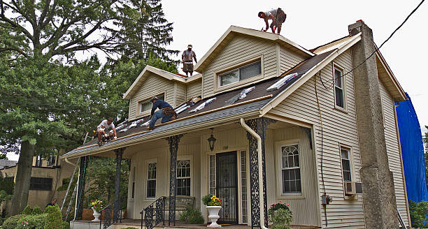 Best Tile Roofing Contractor  in The Colony, TX